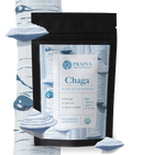 CHAGA