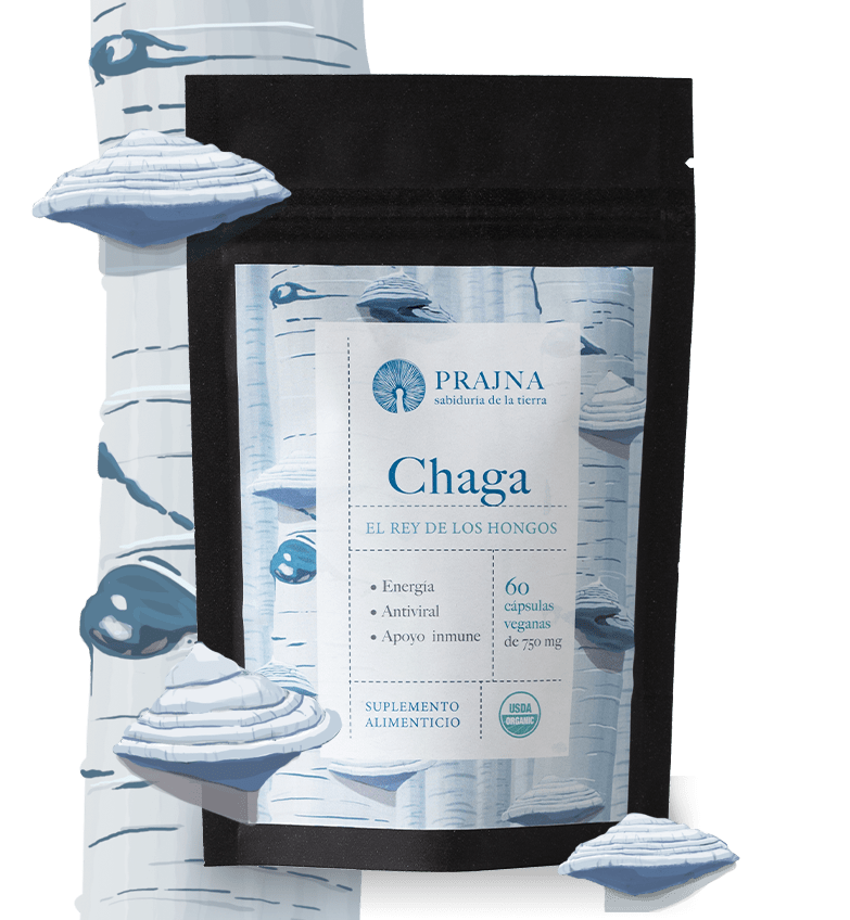 CHAGA