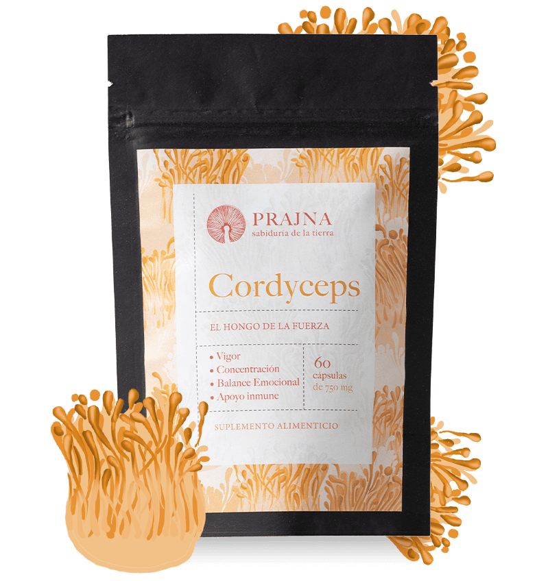 CORDYCEPS